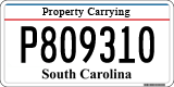 South Carolina, Property Carrying (P123456)