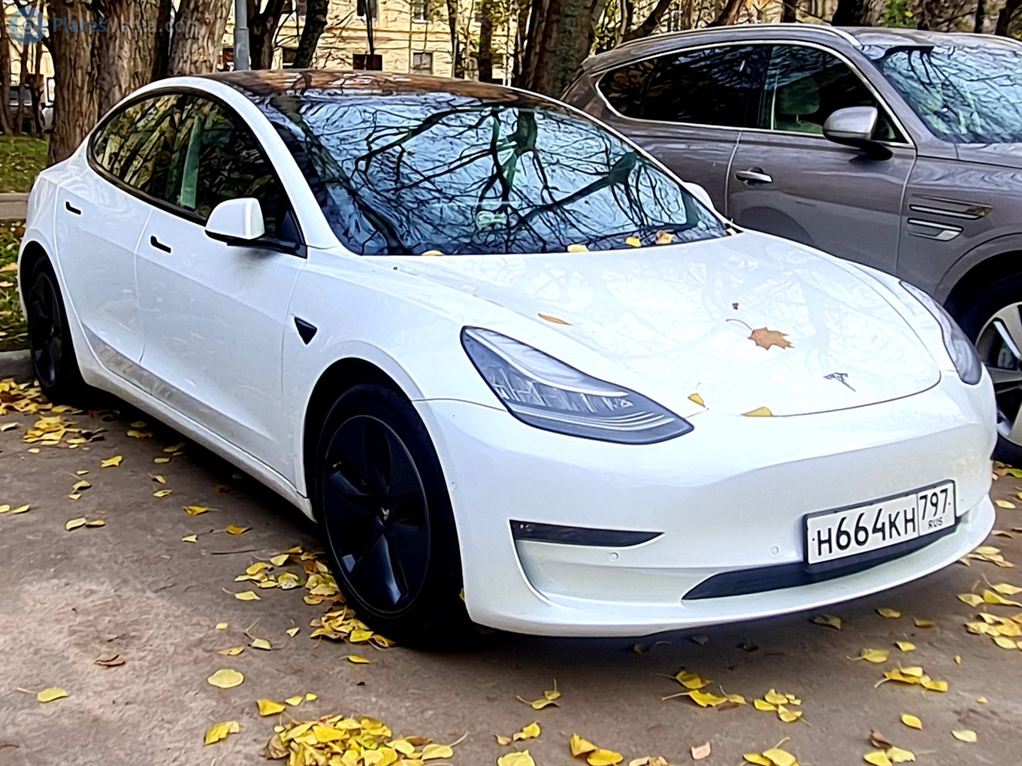 н 664 кн 797, Tesla Model 3 1st gen (5YJ3), 2017–2023