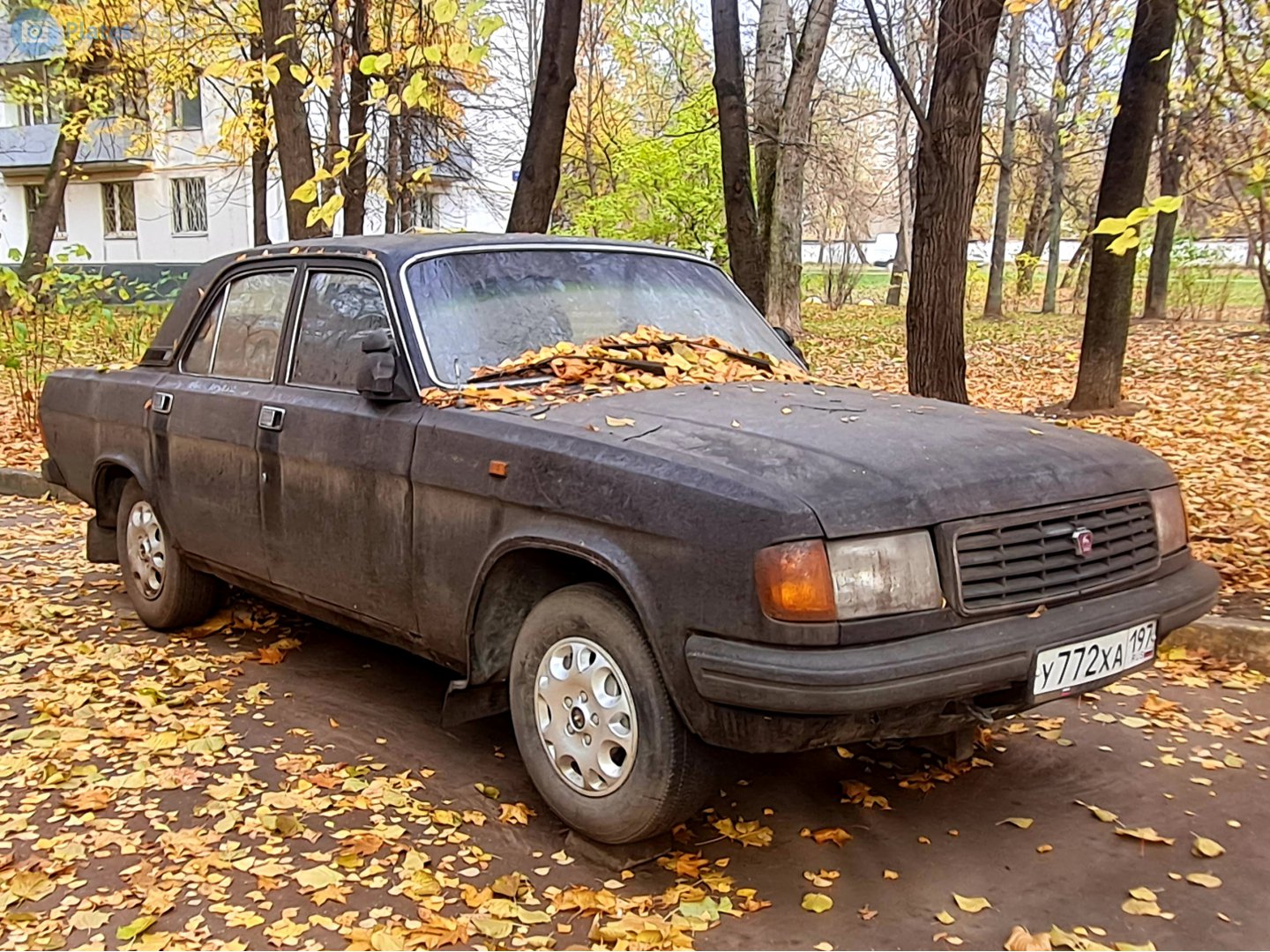 у 772 ха 197, GAZ 31029 Волга 