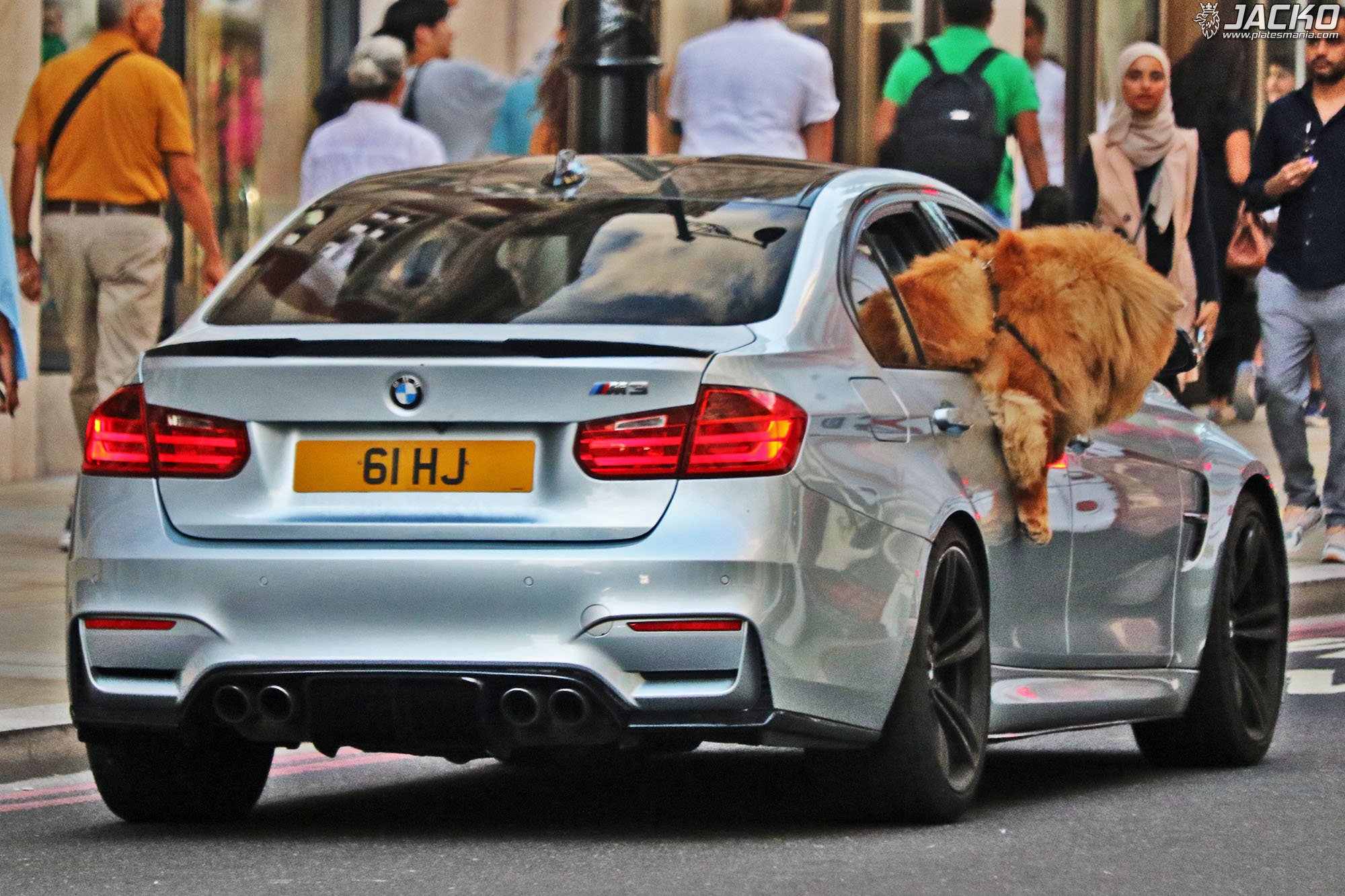 61HJ, BMW M3 5th gen (F80), 2014–2019