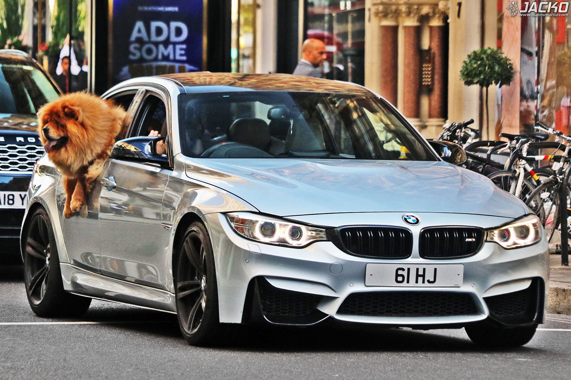 61HJ, BMW M3 5th gen (F80), 2014–2019
