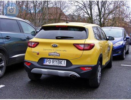 P0 RYBKI, Kia Stonic
