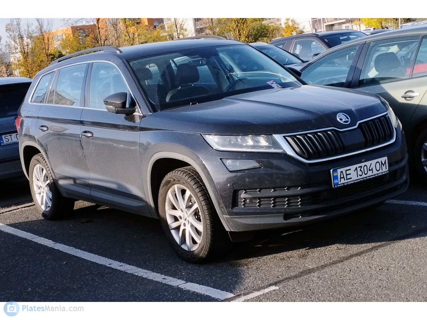 AE 1304 OM, Skoda Kodiaq 1st gen (NS7), 2016–2021