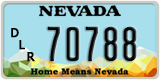 Nevada, Dealer / Loan (12345)