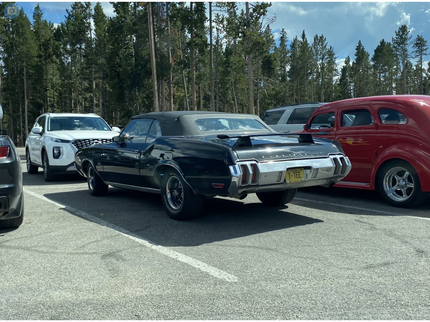 7-TEE, Oldsmobile 442 