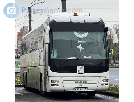 в920от06, MAN Fortuna