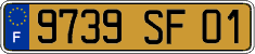 French license plate, FNI