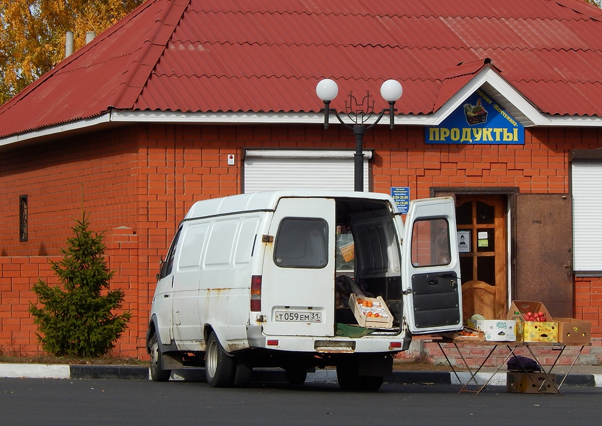 т 059 ем 31, GAZ 2705 ГАЗель 3-2705 Van, facelift, 2003–
