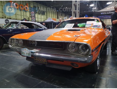 CAU 659H, Dodge Challenger