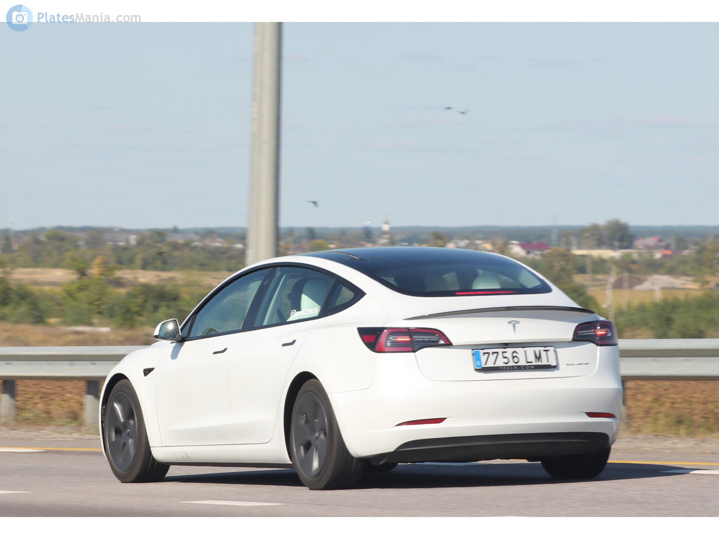 7756 LMT, Tesla Model 3 1st gen (5YJ3), 2017–2023