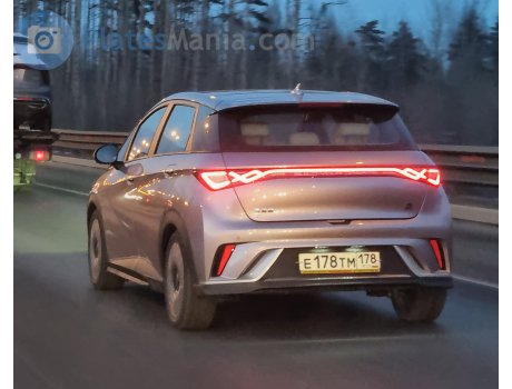 е178тм178, BYD Dolphin / Haitun