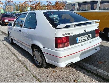 M 7295 NG, Renault 19