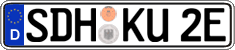 German license plate, Electric vehicles