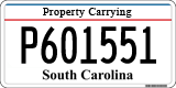 South Carolina, Property Carrying (P123456)