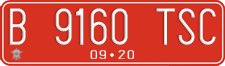 License plate of Indonesia, Government and public administrations