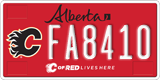Alberta, Calgary Flames (FA1234)