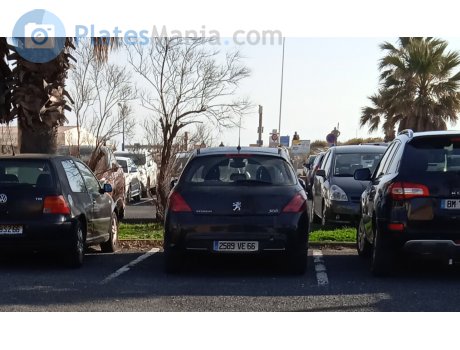 2589 VE 66, Peugeot 308