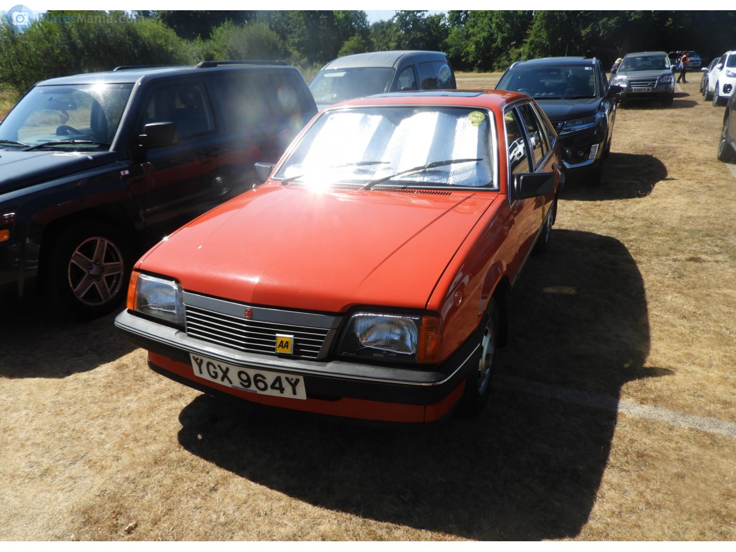 YGX964Y, Vauxhall Cavalier 2nd gen Hatch, 1981–1988