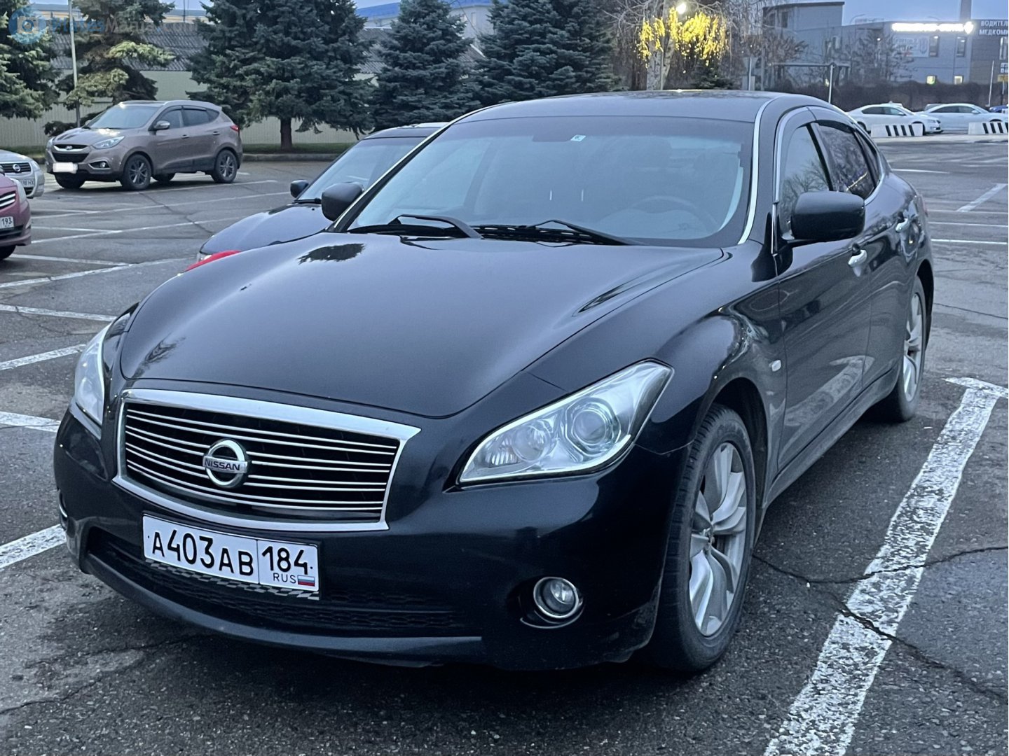 а 403 ав 184, Nissan Fuga 2nd gen (Y51), 2009–2015