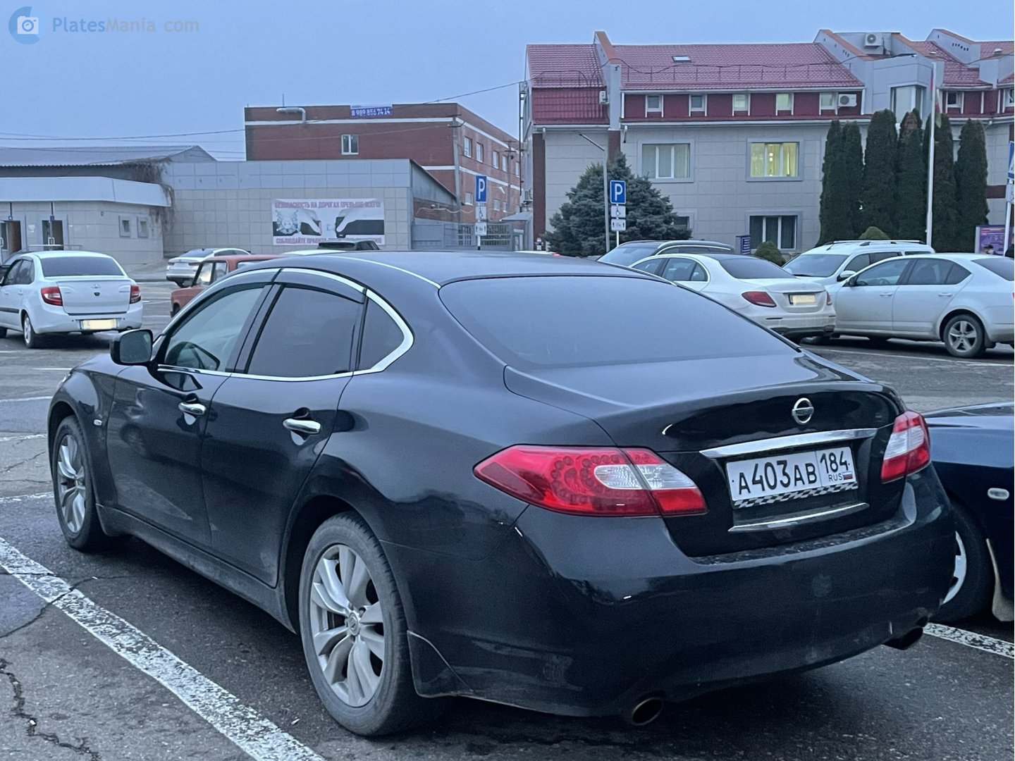 а 403 ав 184, Nissan Fuga 2nd gen (Y51), 2009–2015