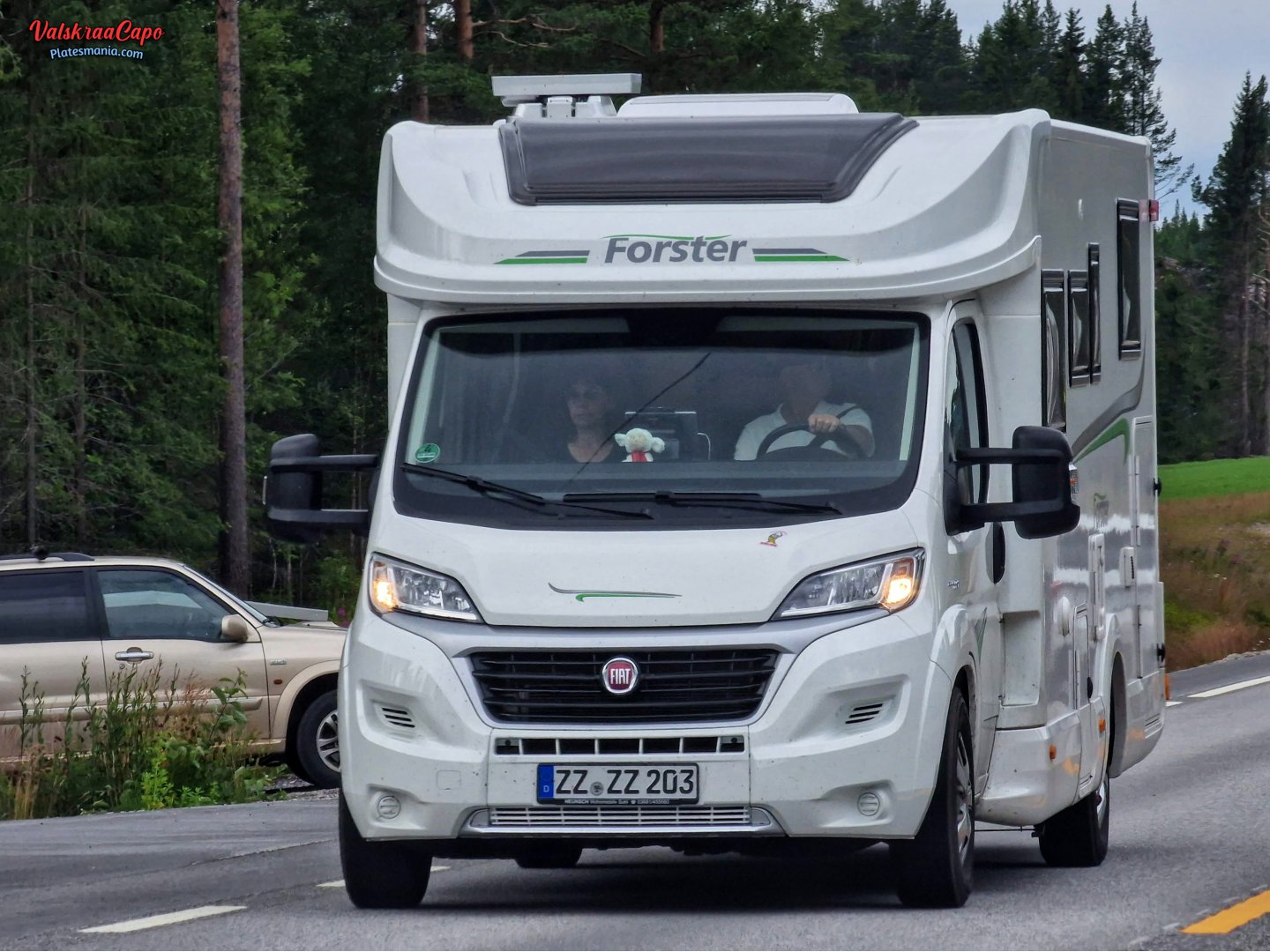 ZZ ZZ 203, Forster T-Series 