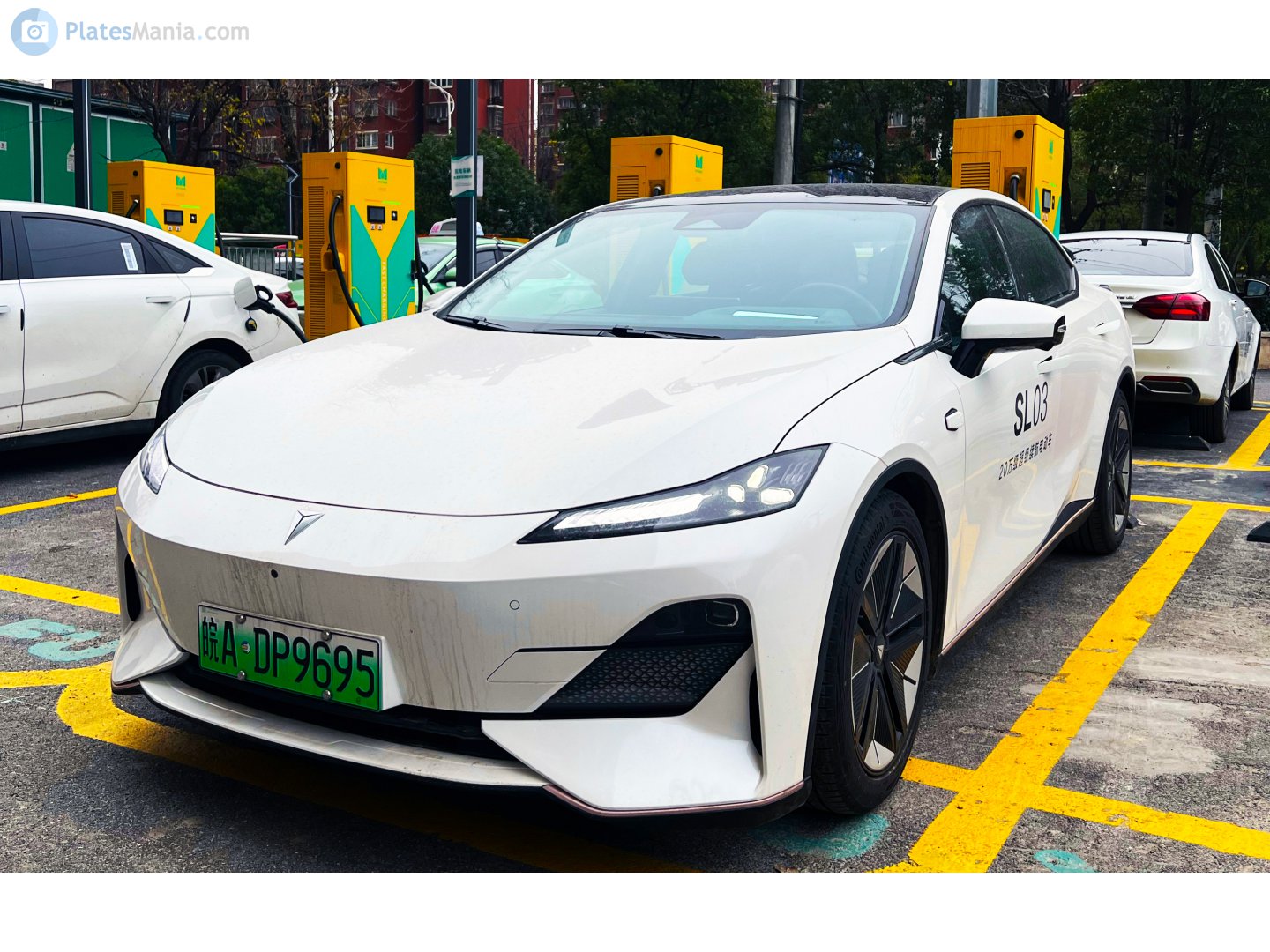 皖A·DP9695, Deepal (Shenlan) SL03 