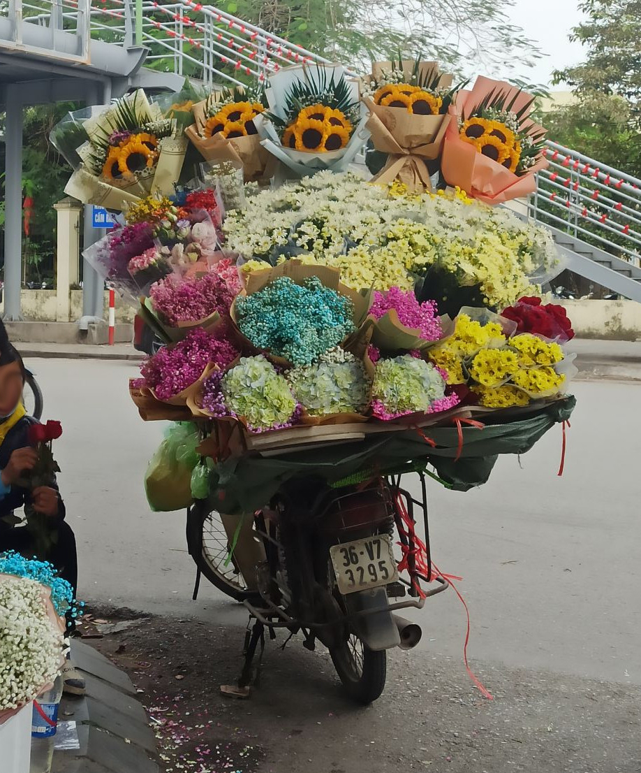 36-V7 3295, Honda Dream 