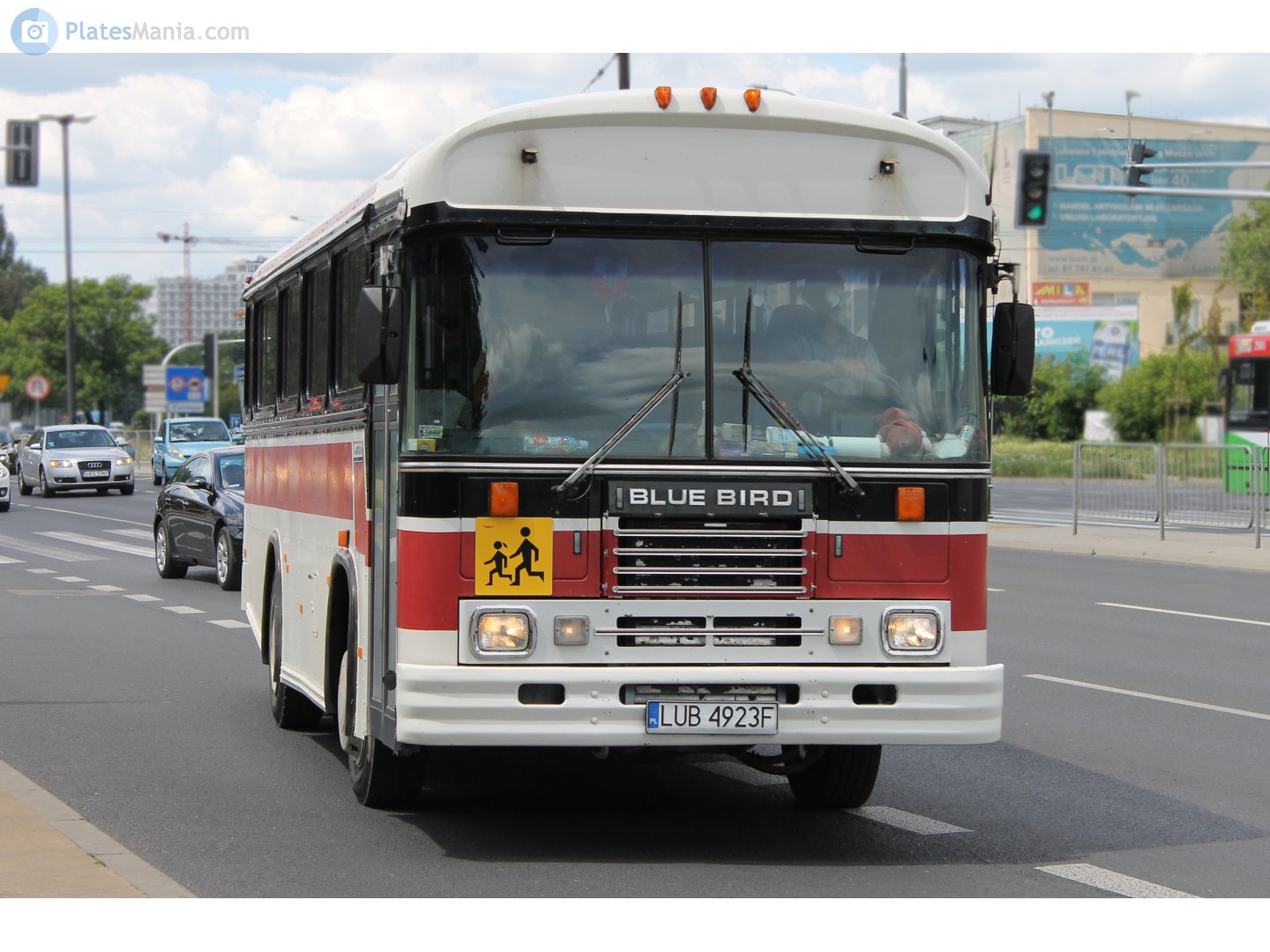 LUB 4923F, Blue Bird TC1000 