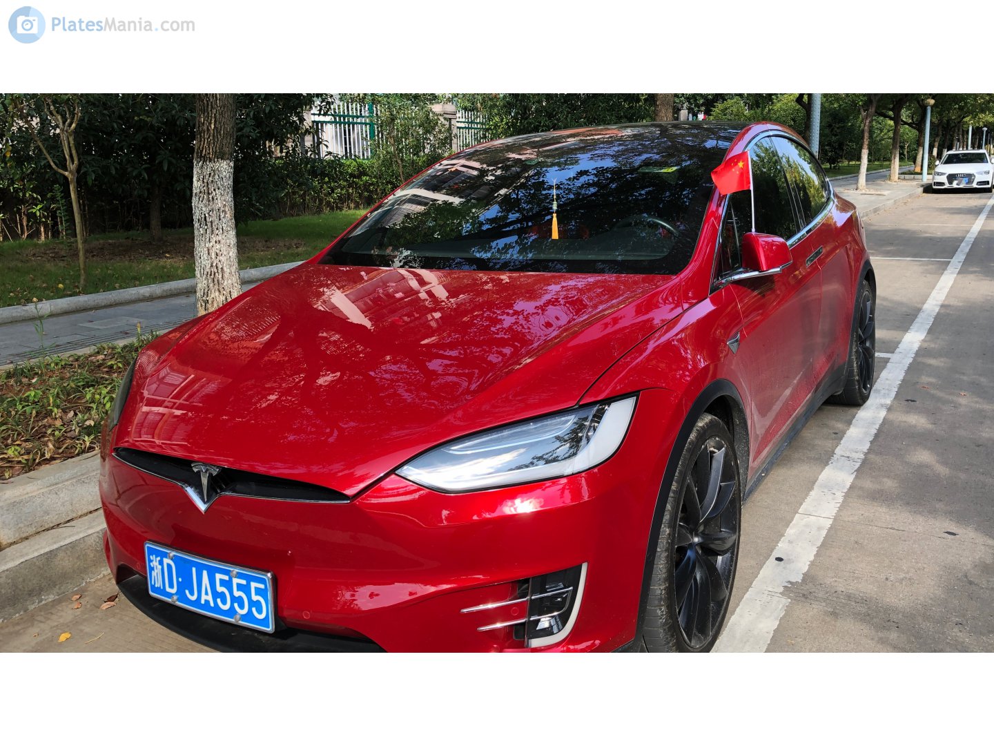 浙D·JA555, Tesla Model X 1st gen (5YJX), 2015–