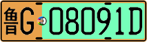 License plate of China, Electric vehicles