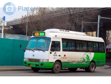 鲁B·09667D, Golden Dragon XML6700