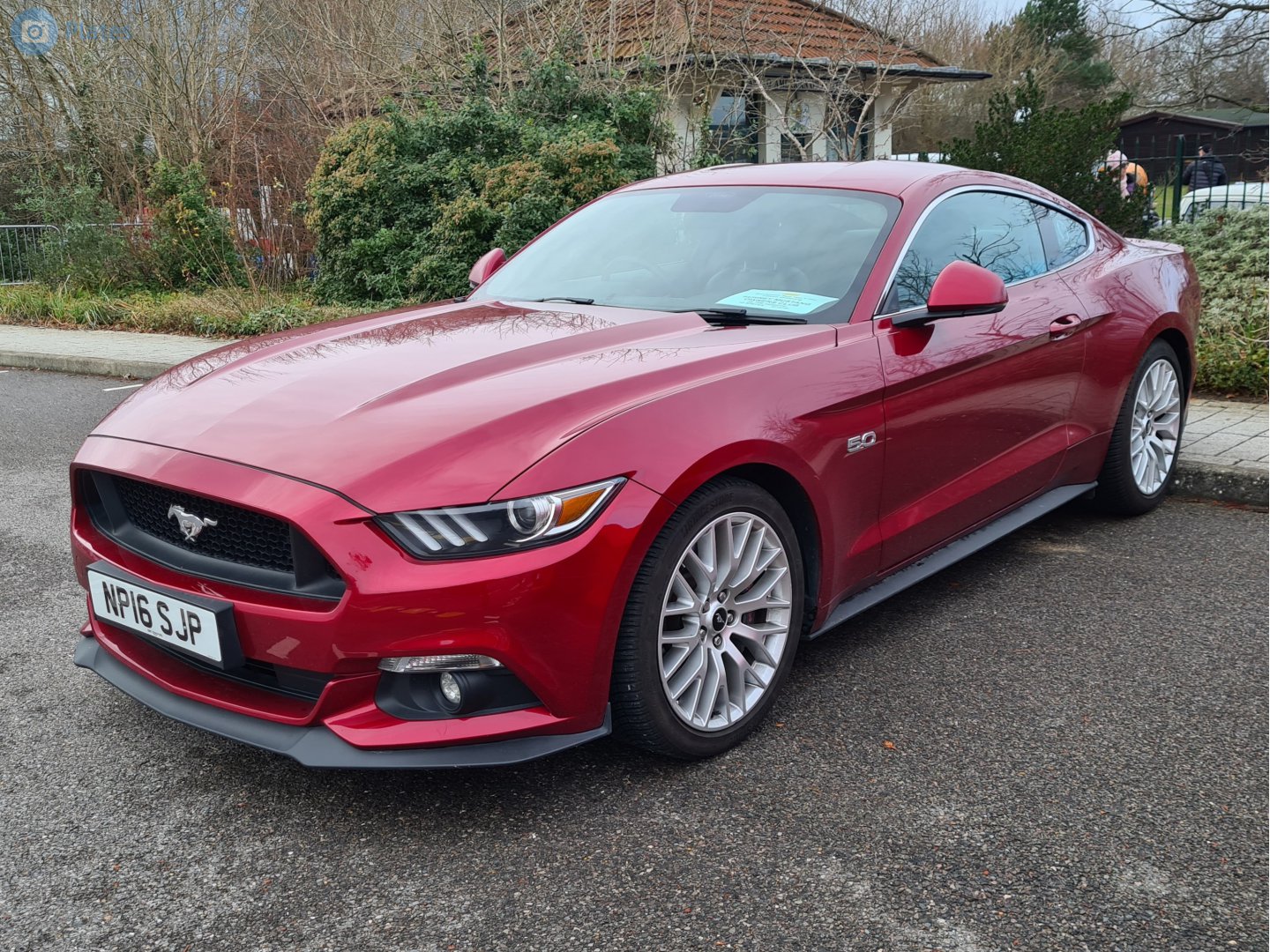 NP16SJP, Ford Mustang 6th gen 2-door Coupé (S550), 2014–2017