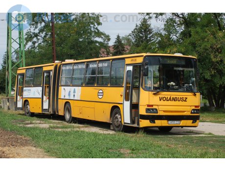 HPR-239, Ikarus C80