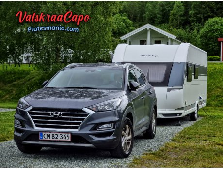 CM 82345, Hyundai Tucson