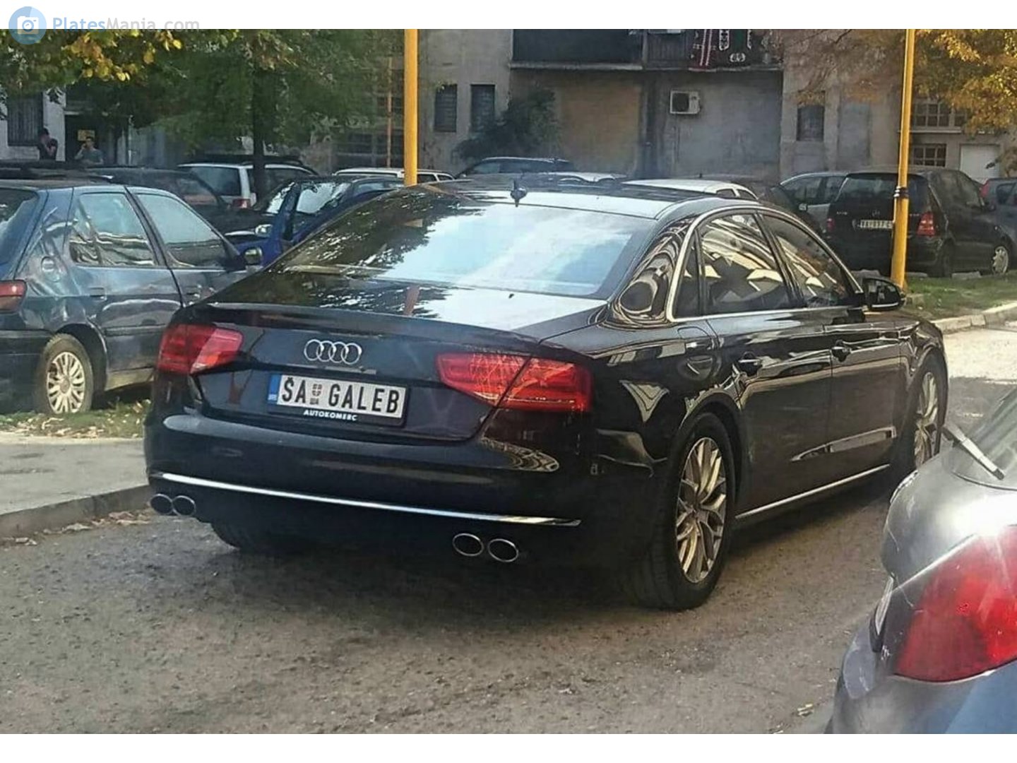 ŠA GALEB, Audi A8 3rd gen (D4/4H), 2009–2013