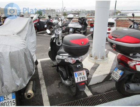 GM 7 PVH, Piaggio Carnaby