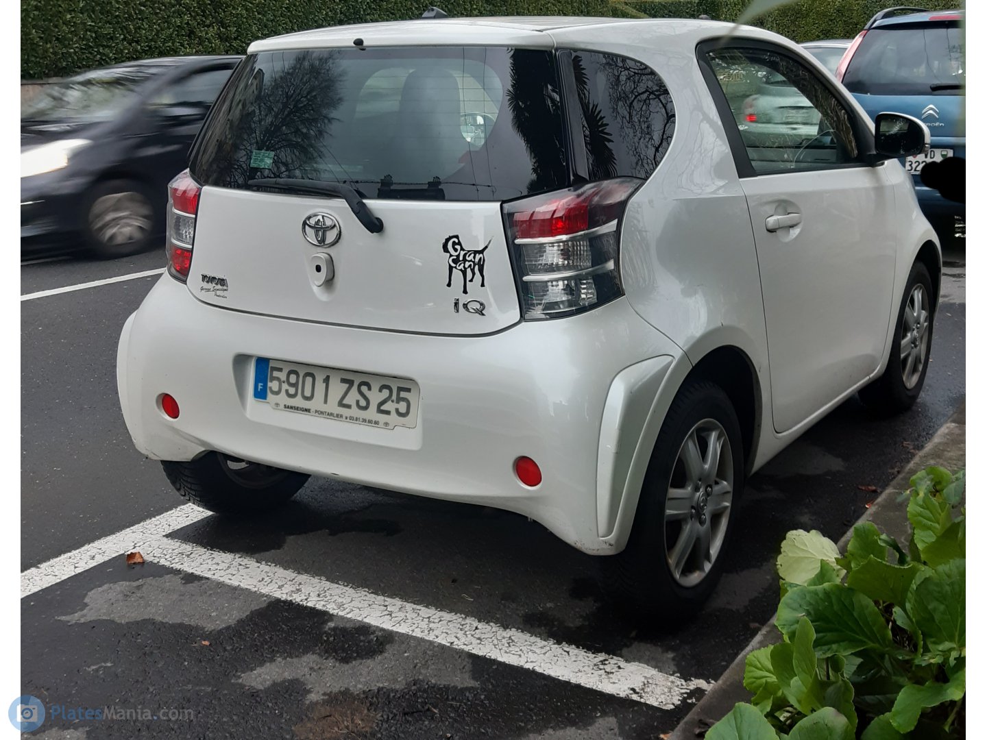 5901 ZS 25, Toyota iQ 1st gen (AJ10), 2008–2016