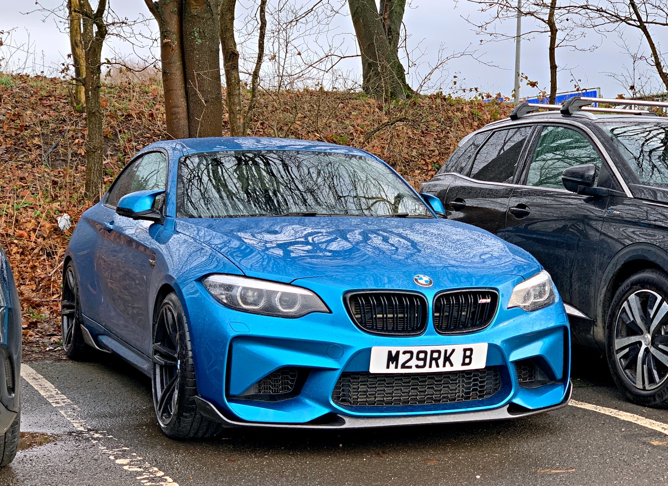 M29RKB, BMW M2 1st gen (F87), 2015–2022