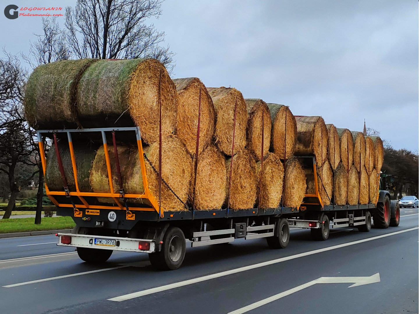 PWL 3R76, Wielton PS 