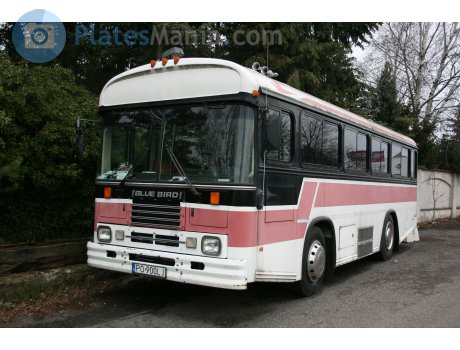 PO 900LJ, Blue Bird TC1000