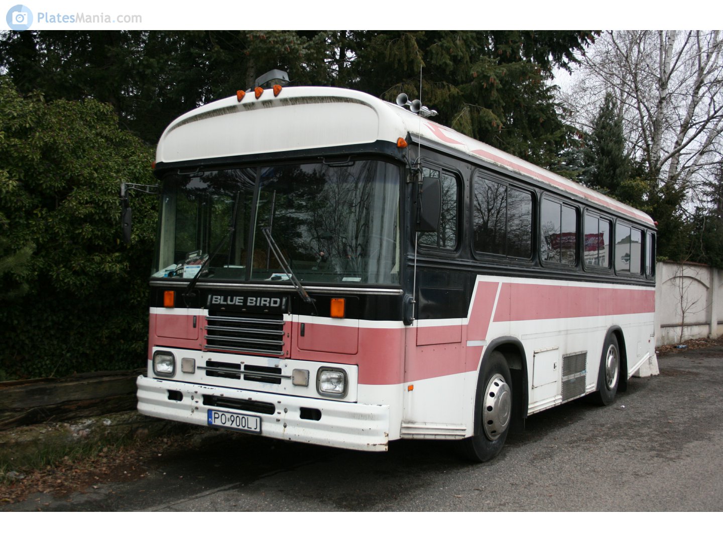 PO 900LJ, Blue Bird TC1000 