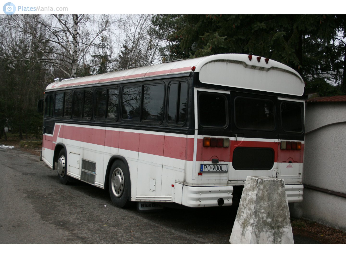 PO 900LJ, Blue Bird TC1000 