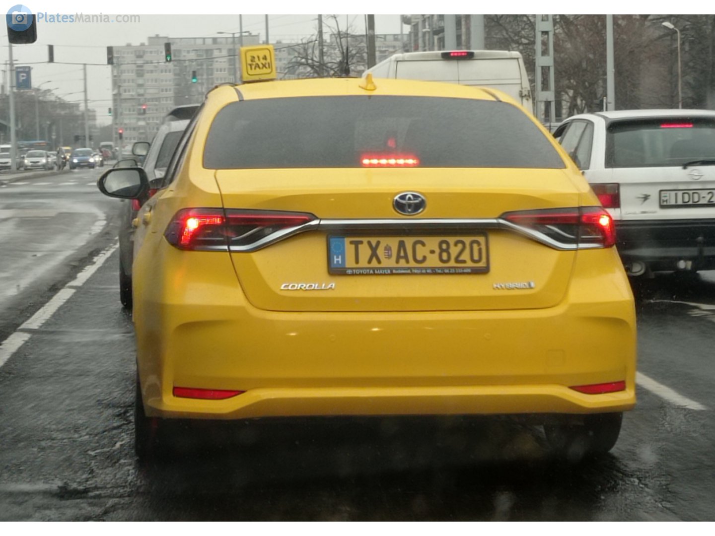 TX AC-820, Toyota Corolla 12th gen (Altis) Sedan (E210; Global-market), 2019–