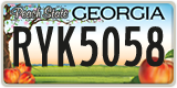 Georgia, ABC 1234