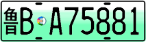 License plate of China, Electric vehicles