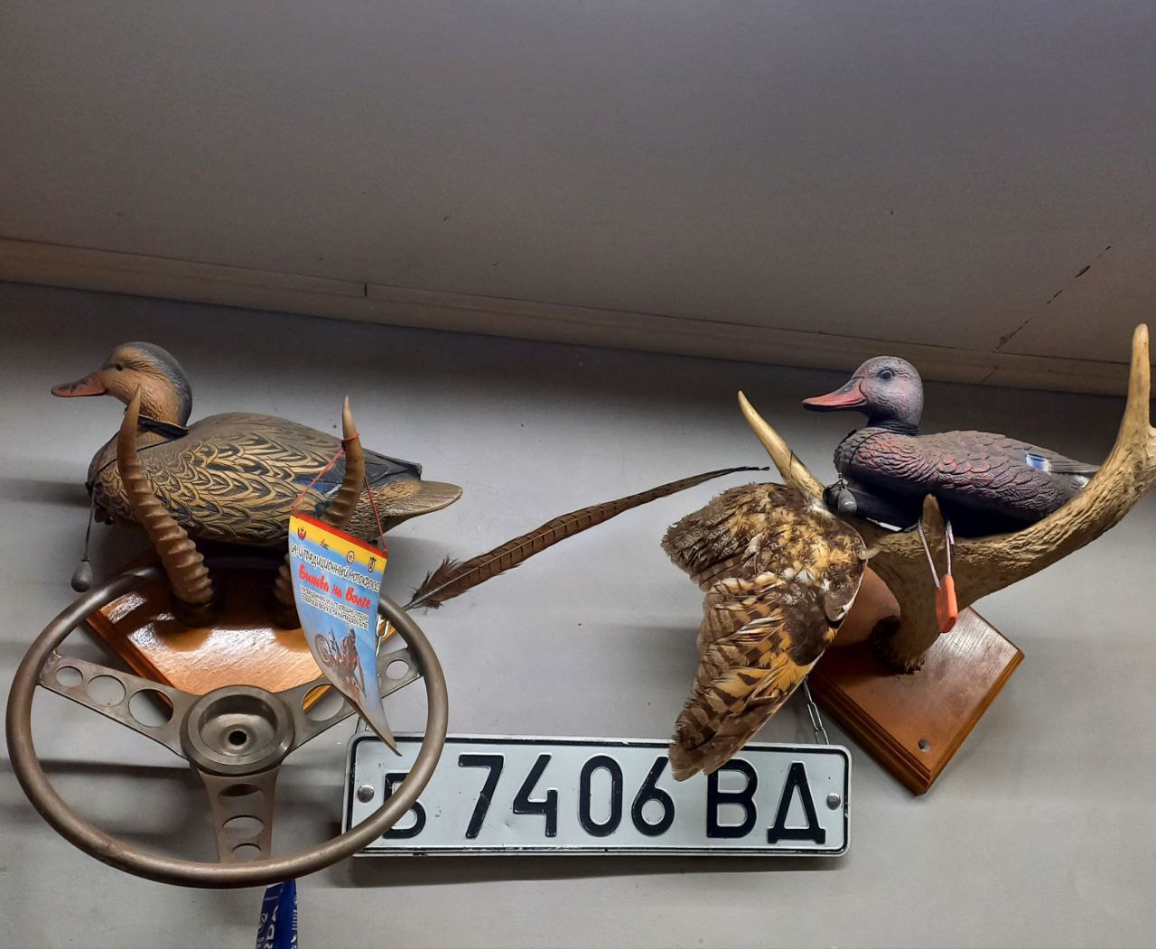 б 7406 ВД, License plate without vehicle 