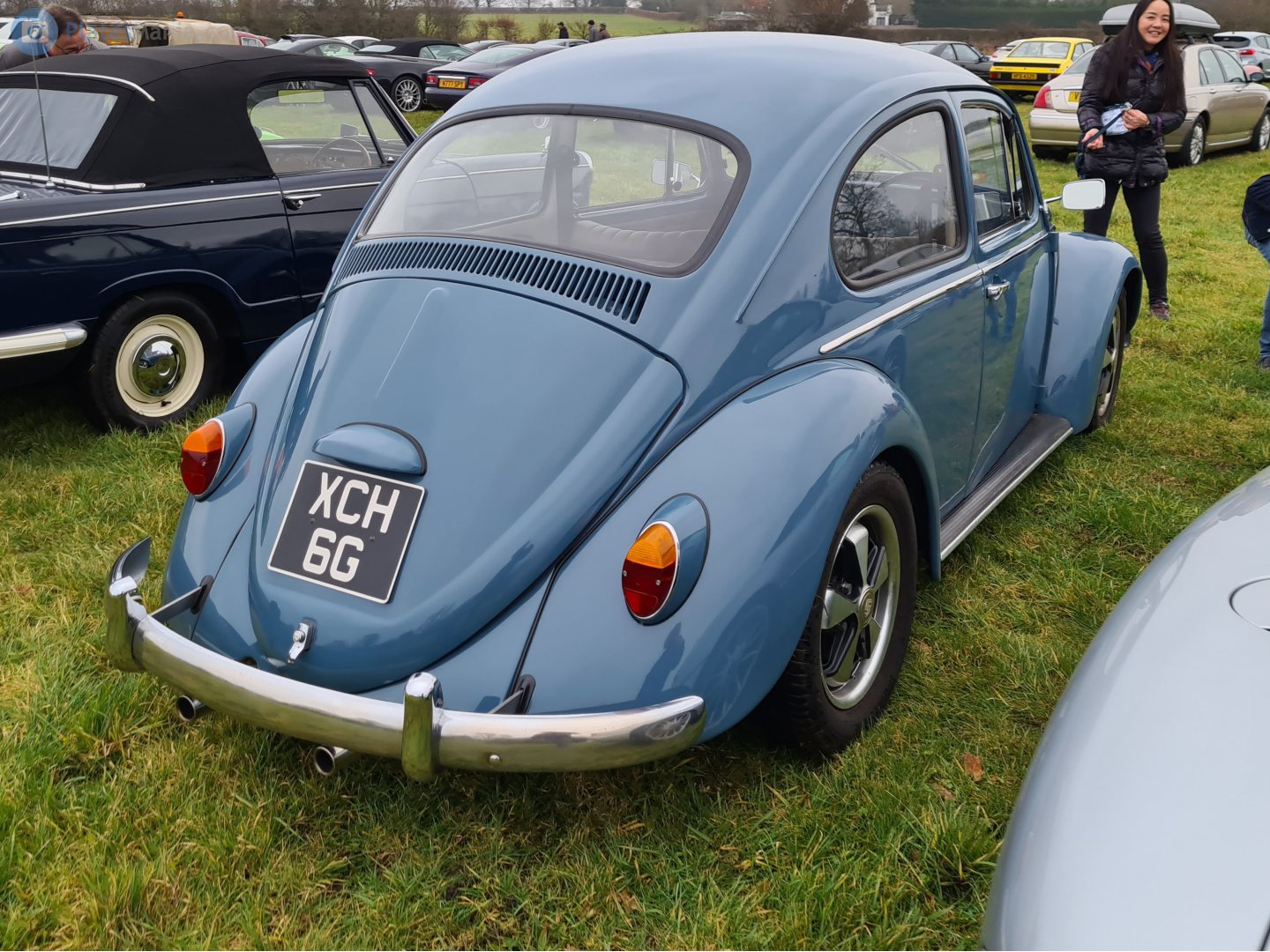 XCH6G, Volkswagen Beetle 1st gen Sedan (Type 1), 1938­–2003