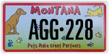Montana, Specialty plates (ABC123)