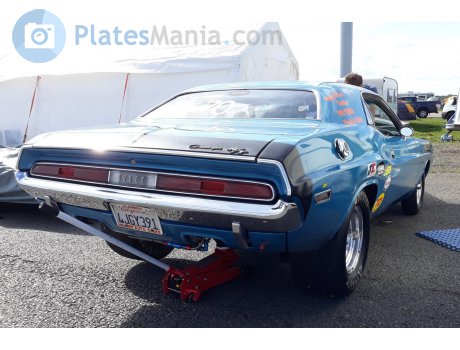 4JGY391, Dodge Challenger