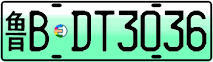 License plate of China, Electric vehicles